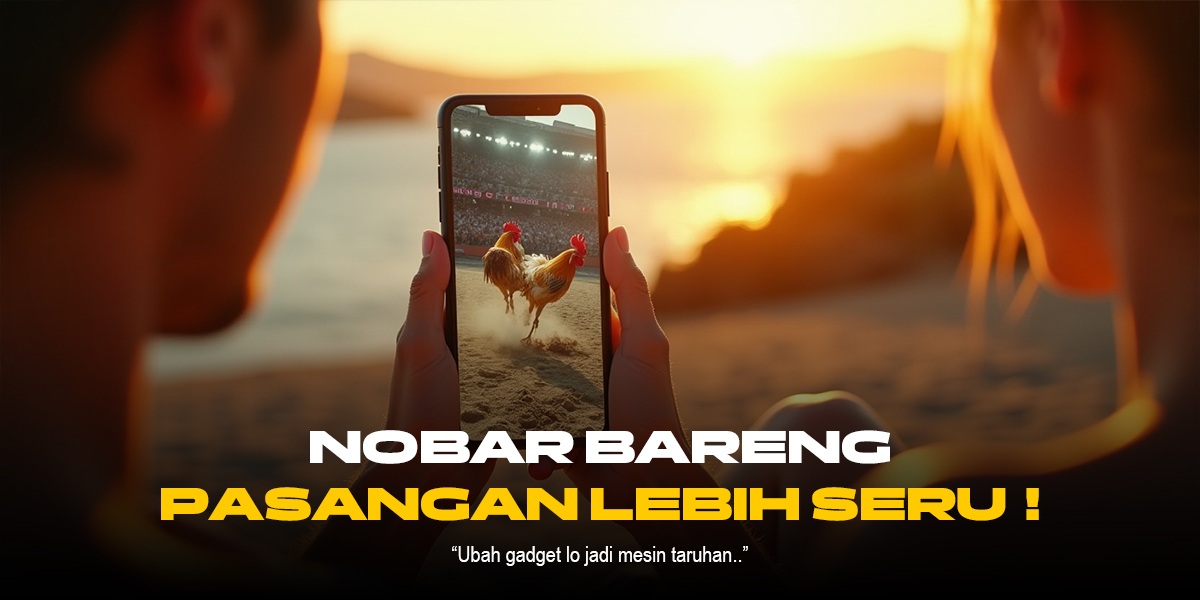 Pahami Jenis Ayam Bangkok dalam Sabung Ayam SV388 dengan Odds Terbaik