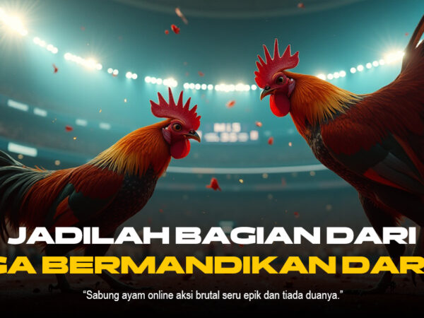 Rahasia SABUNG AYAM SV388 yang Bikin Ketagihan!