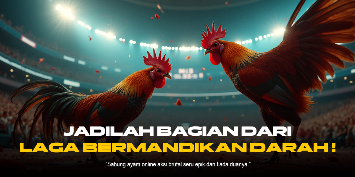 Rahasia SABUNG AYAM SV388 yang Bikin Ketagihan!