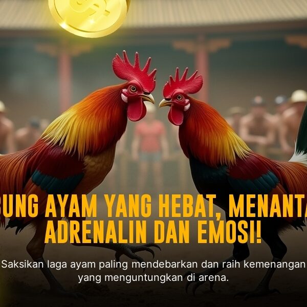 Kenali Jenis Ayam Aduan dan Odds di SV388 Sabung Ayam