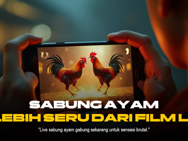 Mengenal Jenis Ayam Aduan Shamo di Sabung Ayam SV388