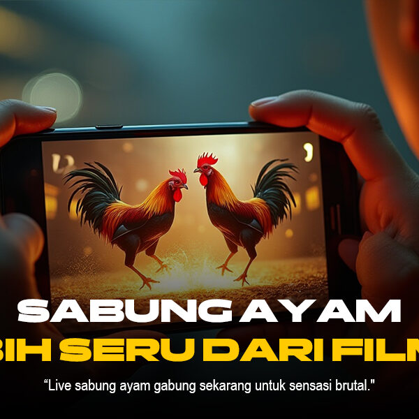 Mengenal Jenis Ayam Aduan Shamo di Sabung Ayam SV388