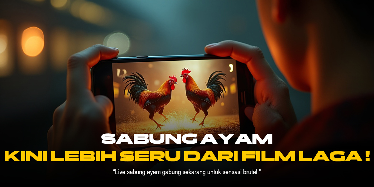 Mengenal Jenis Ayam Aduan Shamo di Sabung Ayam SV388