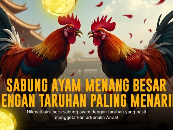Jenis Ayam Aduan Unggulan di SV388, Peluang Menang Besar!