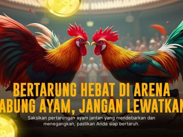Mengungkap Serunya Sabung Ayam SV388: Jenis Ayam, Odds, dan Provider Terpercaya