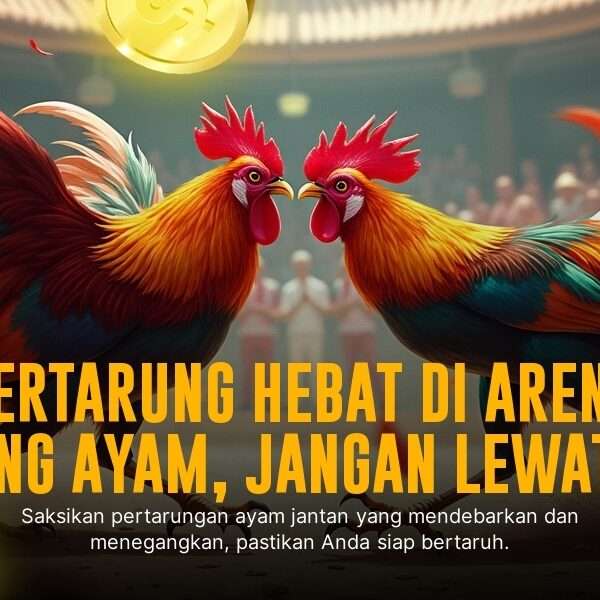 Mengungkap Serunya Sabung Ayam SV388: Jenis Ayam, Odds, dan Provider Terpercaya