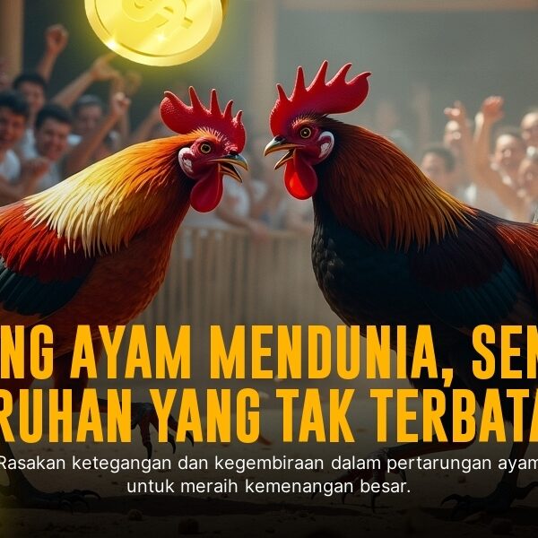 Mengenal Jenis Ayam Aduan dan Odds di SV388 Sabung Ayam Online