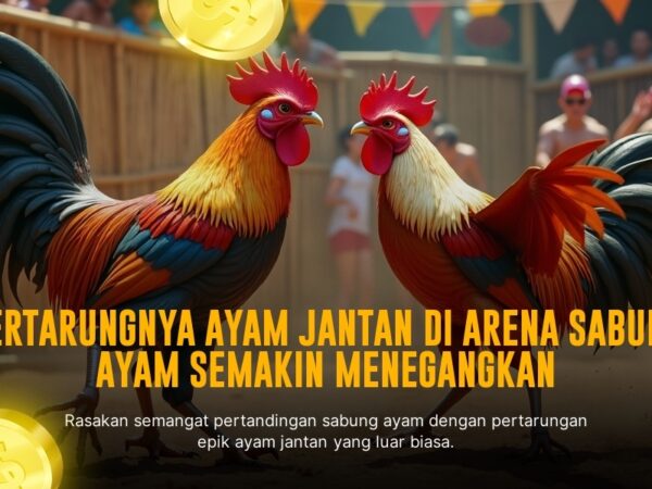 Mengenal Jenis Ayam Aduan Terpopuler di SV388