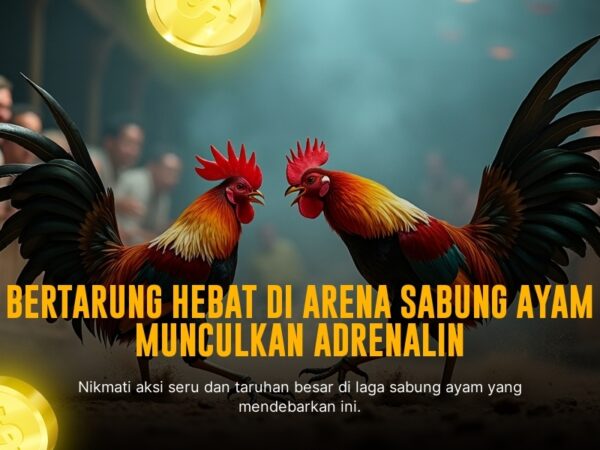 SV388 Sabung Ayam: Kenali Jenis Ayam Aduan dan Peluang Taruhan