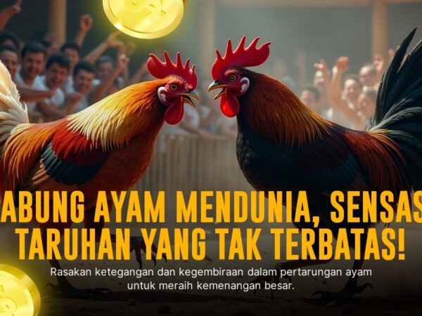 Mengenal Jenis Ayam Aduan dan Odds di SV388 Sabung Ayam Online