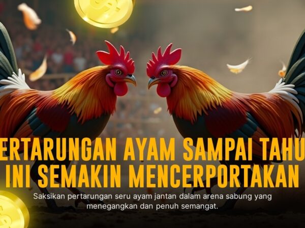 Rahasia Odds dan Jenis Ayam di Sabung Ayam SV388