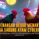 Sabung Ayam S128: Jenis Ayam, Odds, dan Keunggulan Provider
