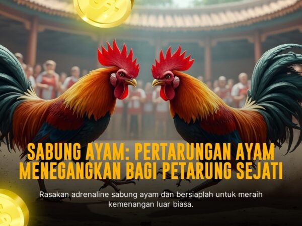SABUNG AYAM SV388: Kenali Jenis Ayam Aduan, Odds, dan Cara Bertarungnya