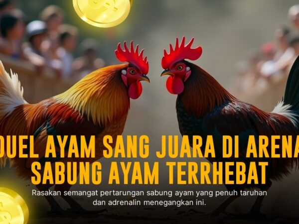 Mengenal Ayam Bangkok: Raja Sabung Ayam di SV388