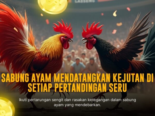 Mengenal Jenis Ayam Bangkok Dalam Sabung Ayam SV388