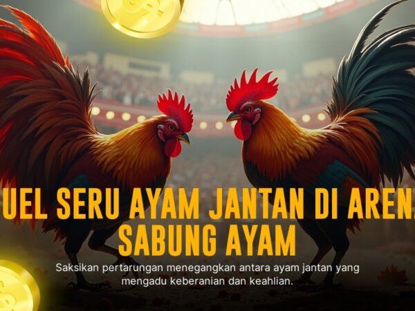 Mengupas Jenis Ayam Aduan dalam Sabung Ayam SV388 yang Menguntungkan
